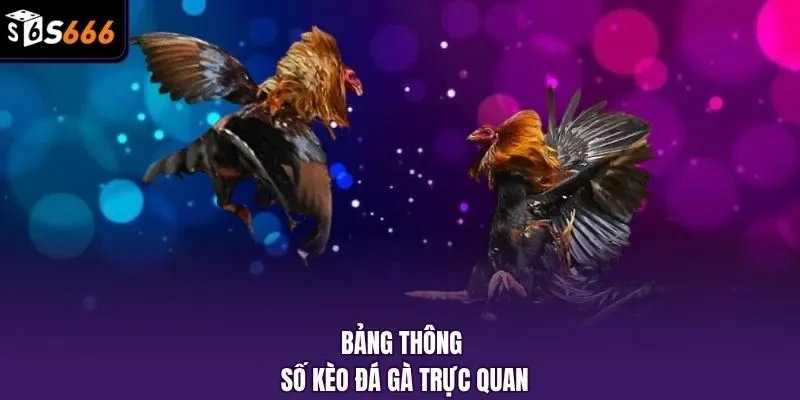 Bảng thông số kèo đá gà trực quan