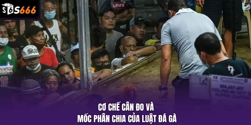 Cơ chế cân đo và mốc phân chia của luật đá gà