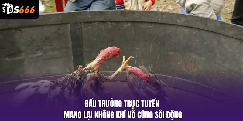 Đấu trường trực tuyến mang lại không khí vô cùng sôi động