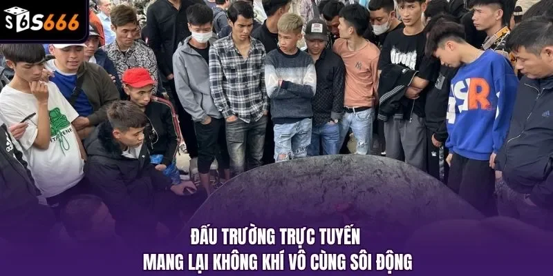 Đấu trường trực tuyến mang lại không khí vô cùng sôi động