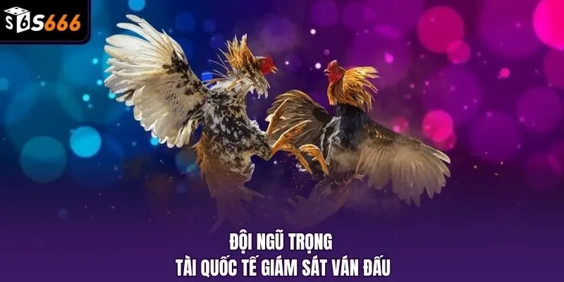 Đội ngũ trọng tài quốc tế giám sát ván đấu