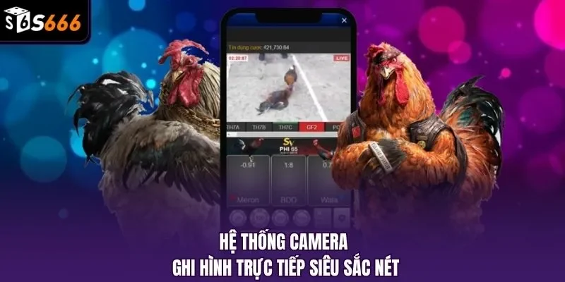 Hệ thống camera ghi hình trực tiếp siêu sắc nét