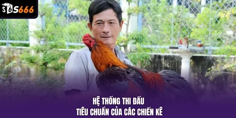 Hệ thống thi đấu tiêu chuẩn của các chiến kê