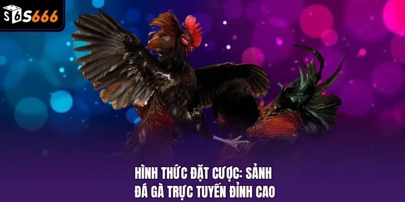 Hình thức đặt cược