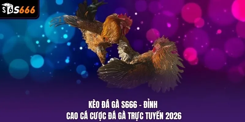 Kèo đá gà