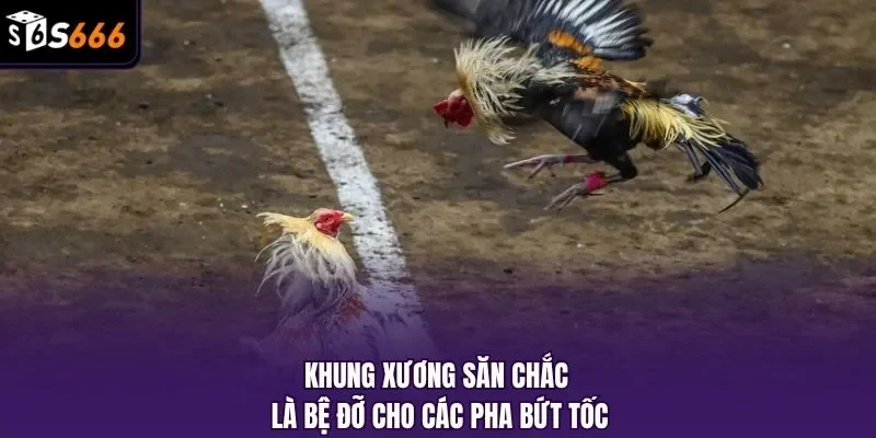 Khung xương săn chắc là bệ đỡ cho các pha bứt tốc