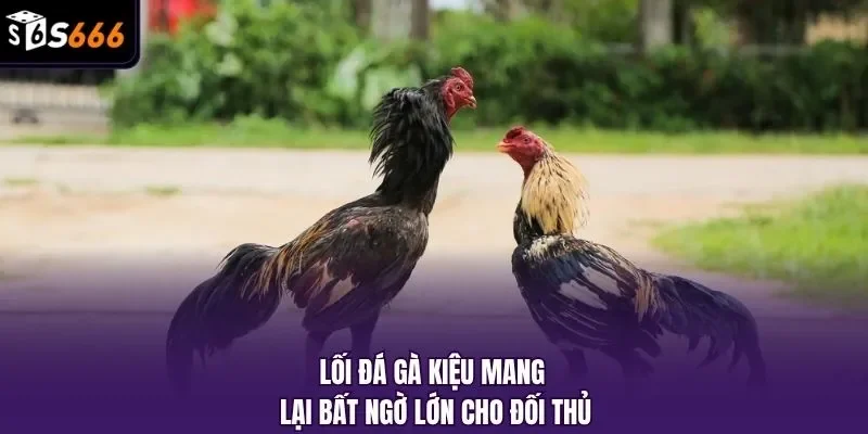 Lối đá gà kiệu mang lại bất ngờ lớn cho đối thủ