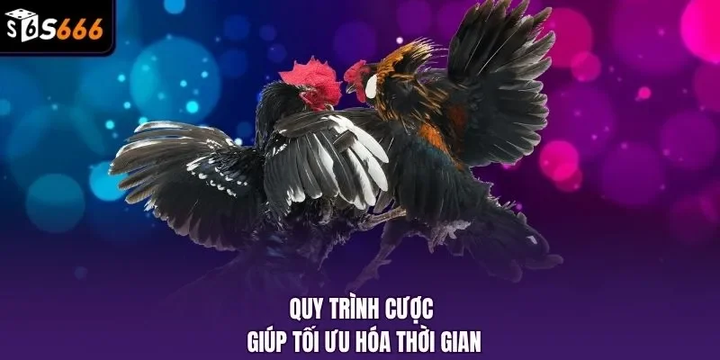 Quy trình cược giúp tối ưu hóa thời gian