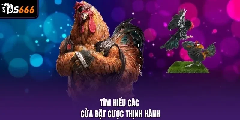 Tìm hiểu các cửa đặt cược thịnh hành