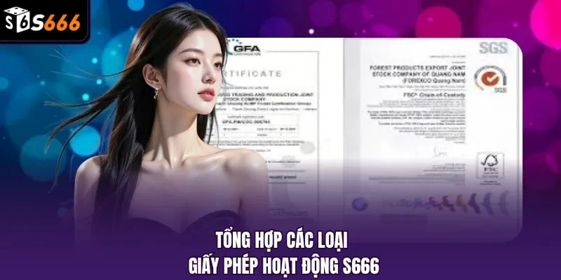 Tổng hợp các loại giấy phép hoạt động S666