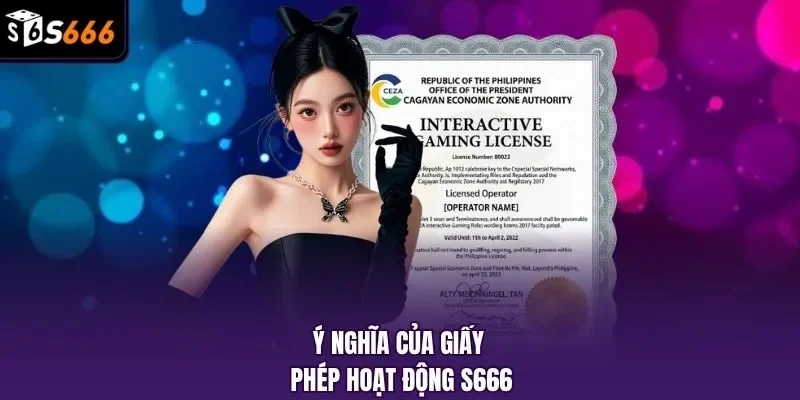Ý nghĩa của giấy phép hoạt động S666